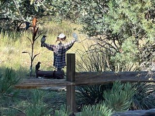 A scarecrow is sitting on top of a wooden fence.