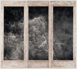 White flower against an orange background. Several brown circles are near the stem's base.