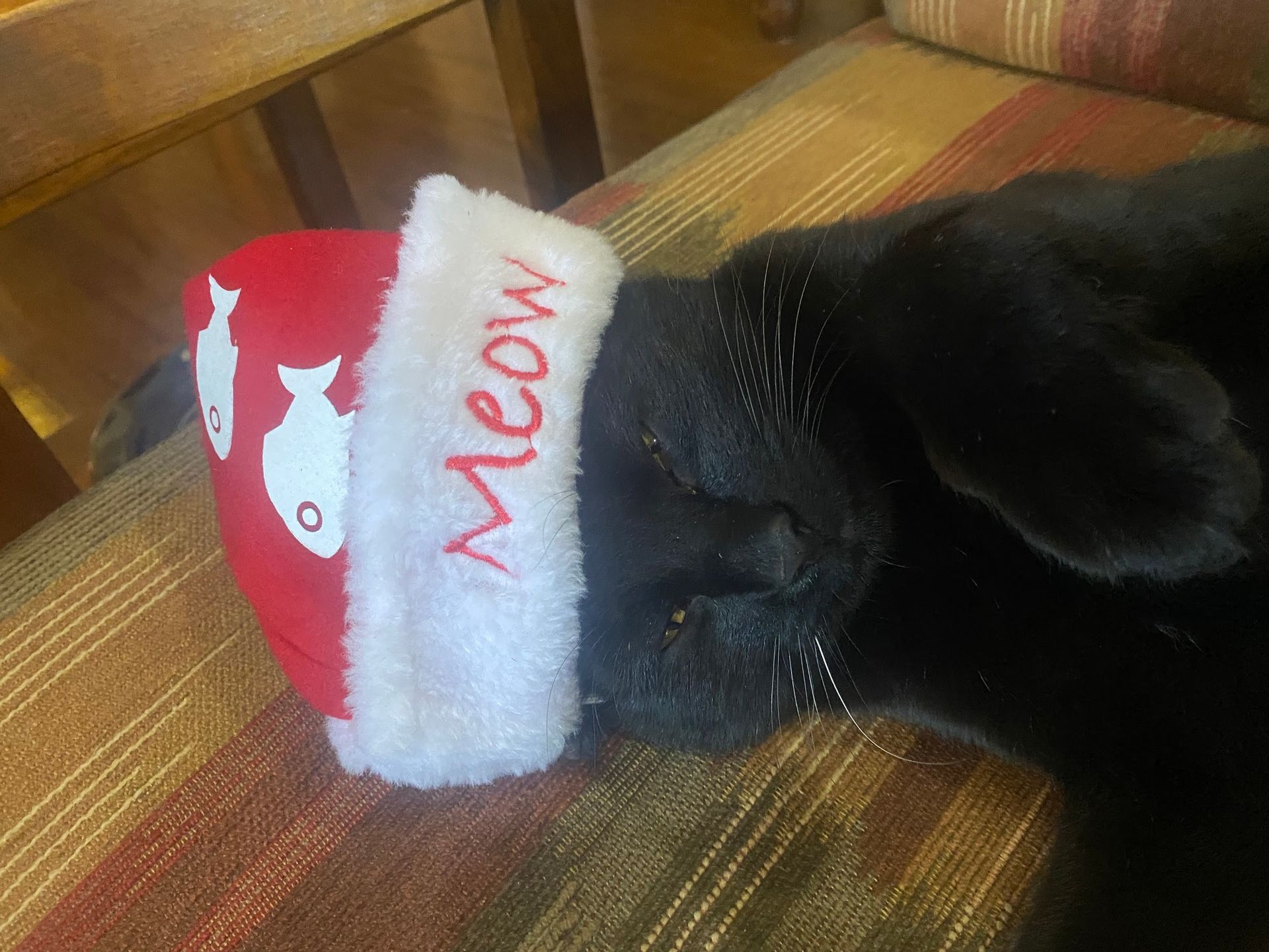 A small yellow flower is growing out of the ground