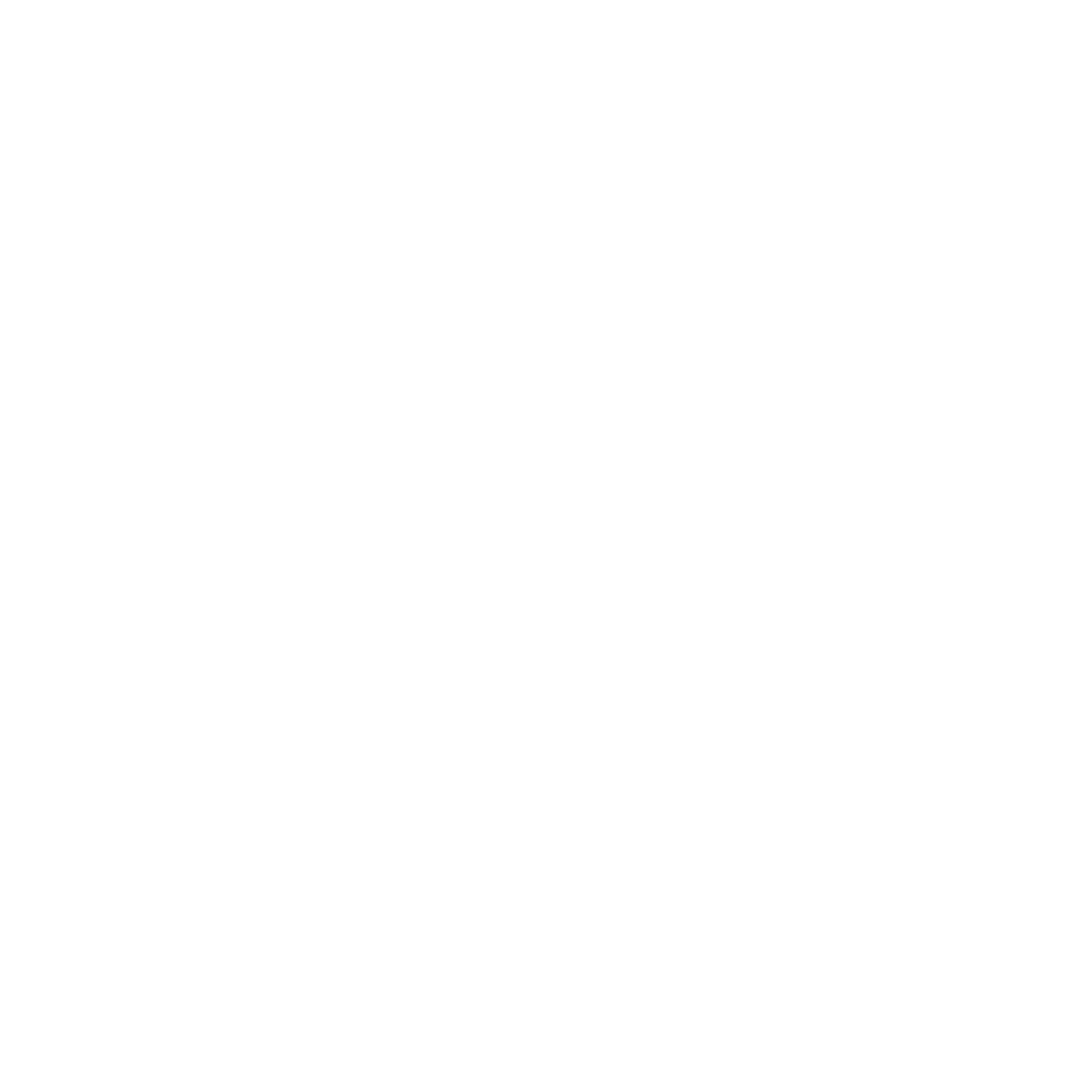 Blank white rectangle with a thin black border at the bottom and right edges.