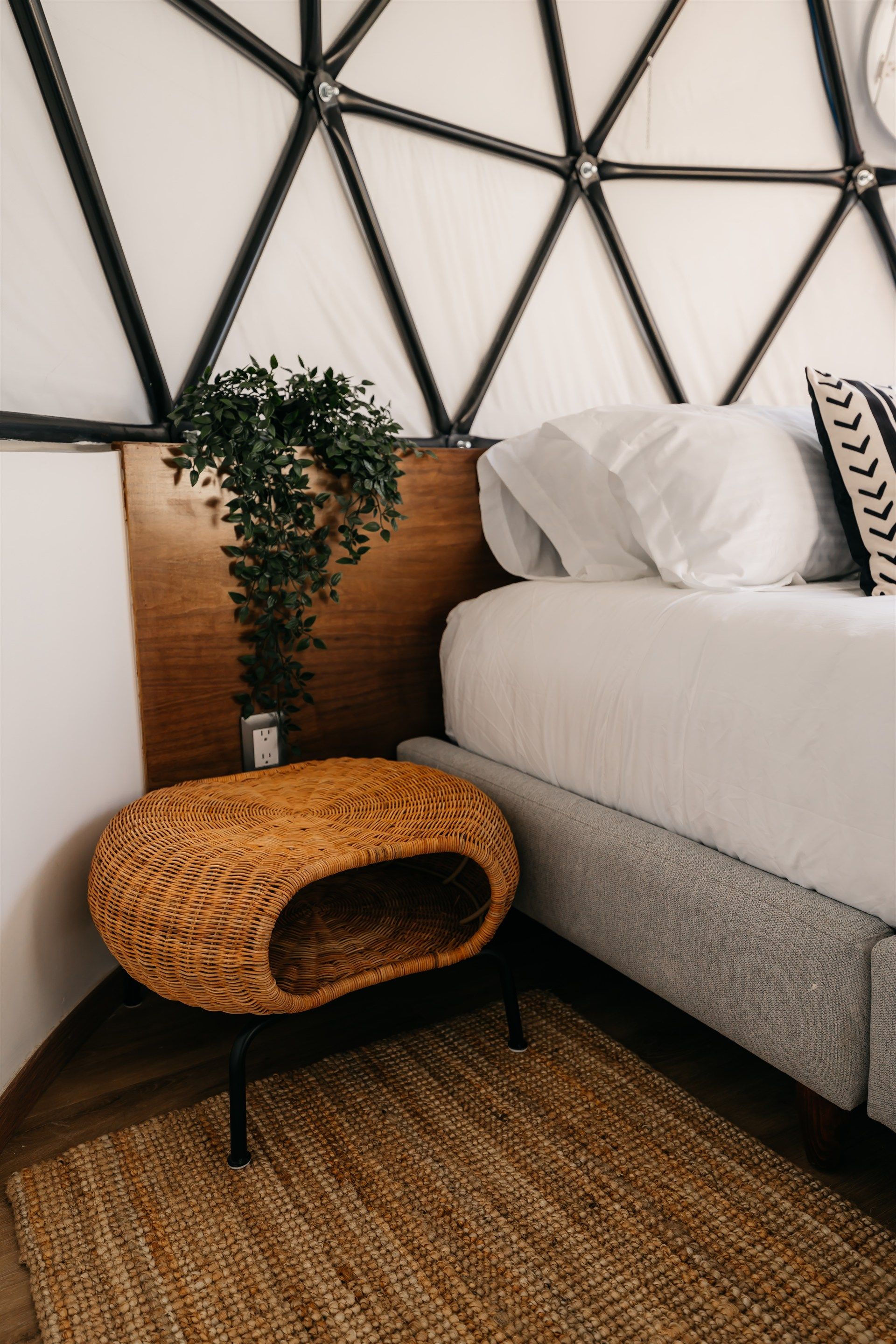 Un dormitorio con cama, mesita de noche, alfombra y planta.