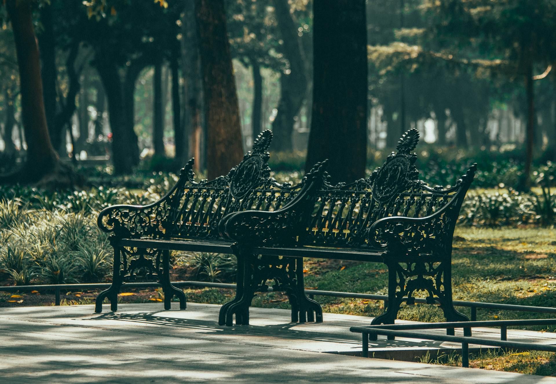 Una fila de bancos de parque en un parque con árboles al fondo.