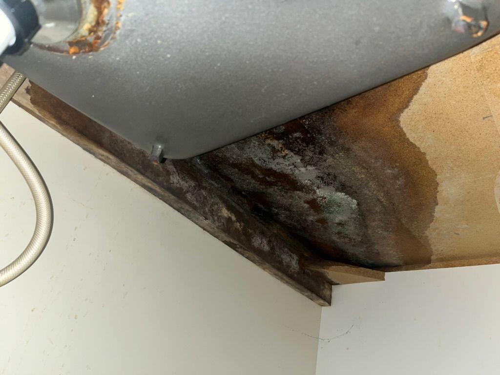 Water Damage — Ocala, FL — Puddles Restoration