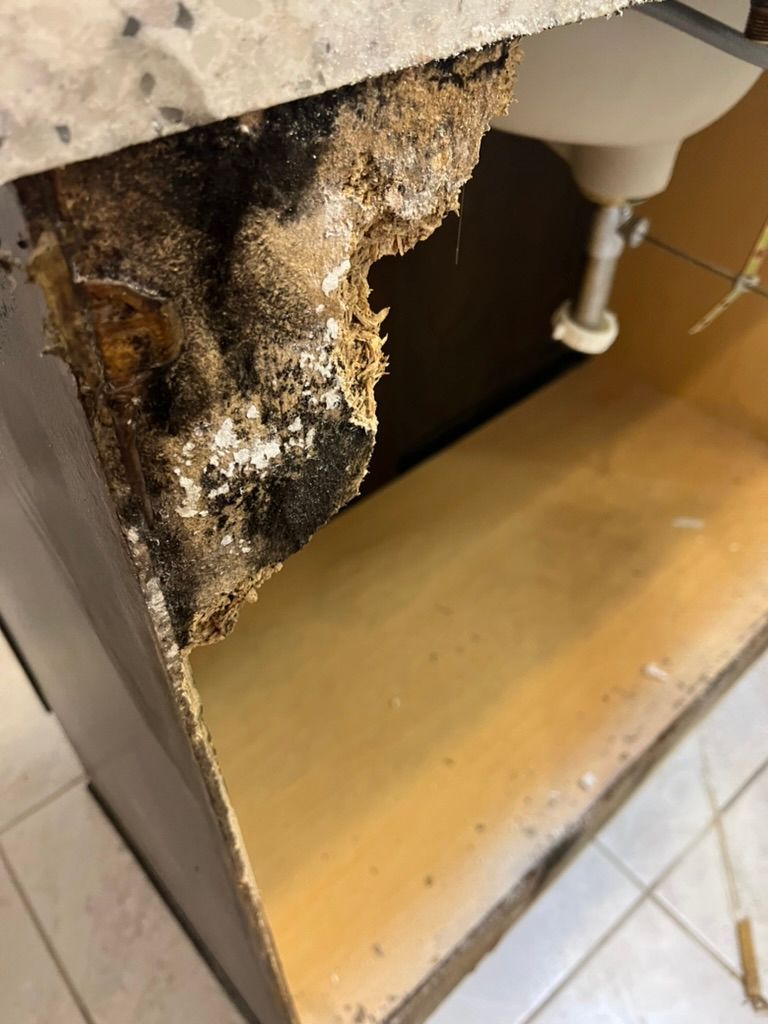 Water Damage Service  — Ocala, FL — Puddles Restoration