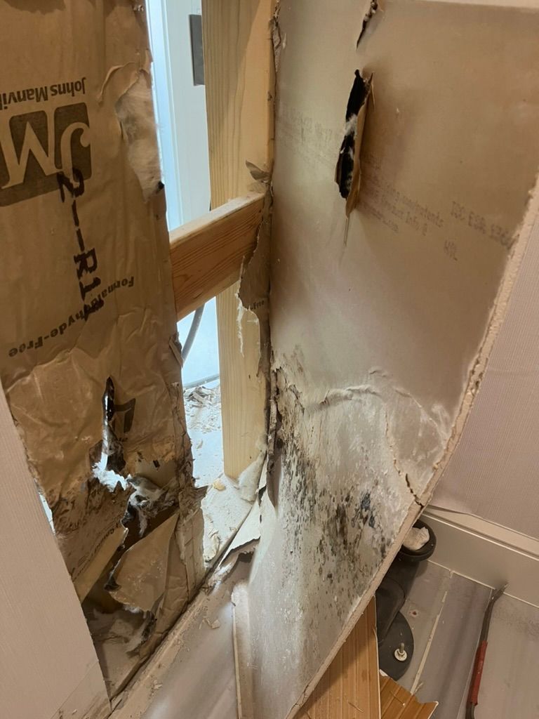 Mold Removal — Ocala, FL — Puddles Restoration