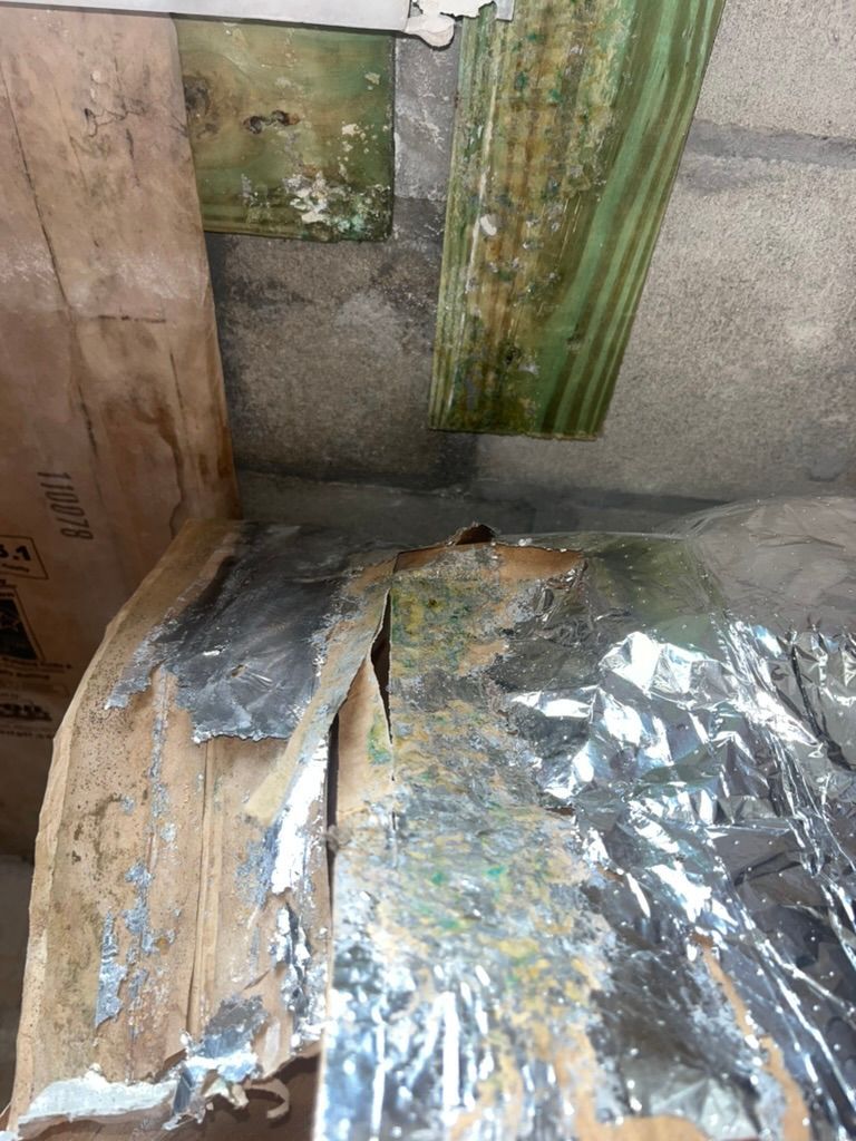 Mold on the wood  — Ocala, FL — Puddles Restoration
