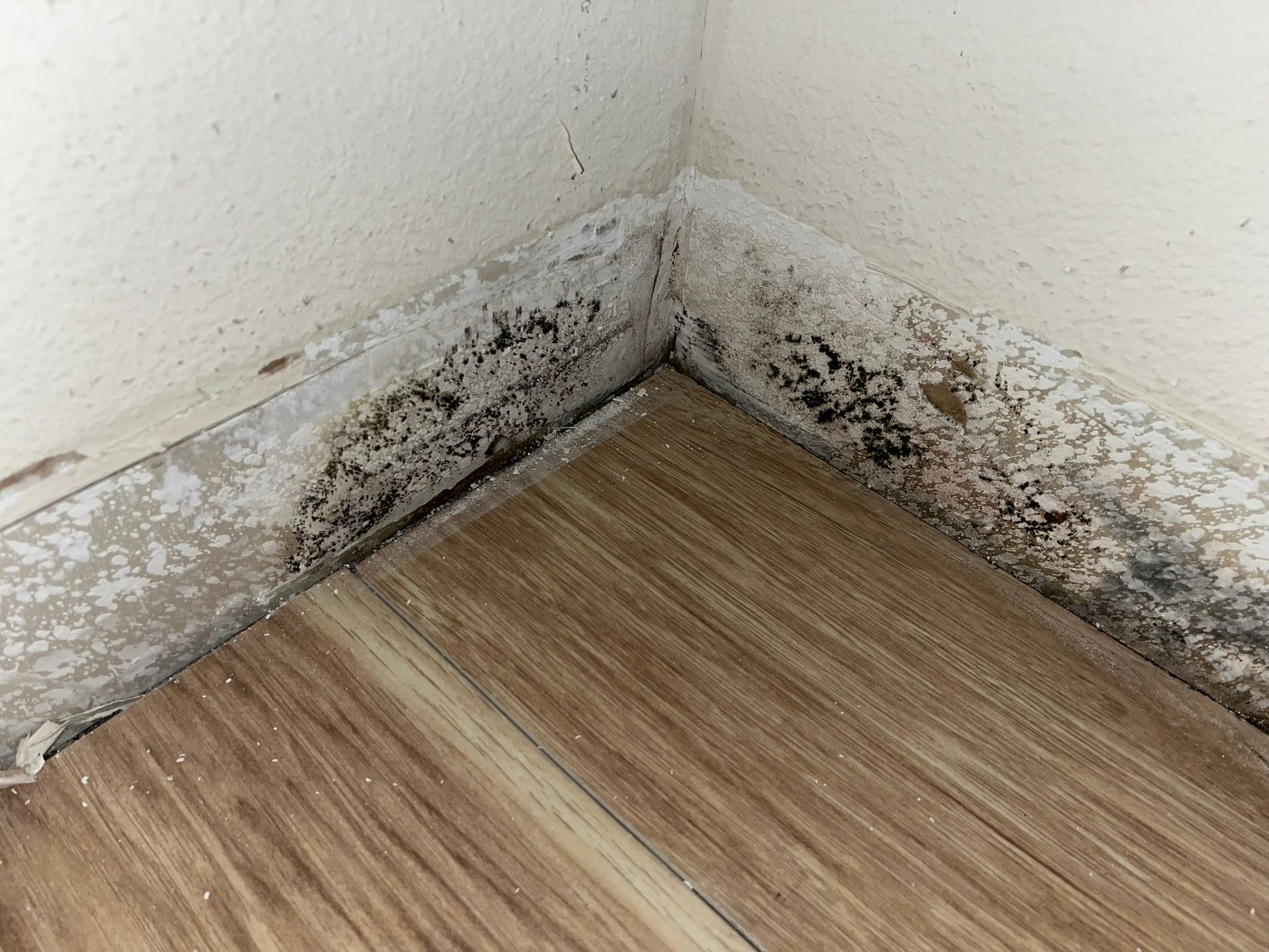 Home Water Damage — Ocala, FL — PUDDLES Restoration