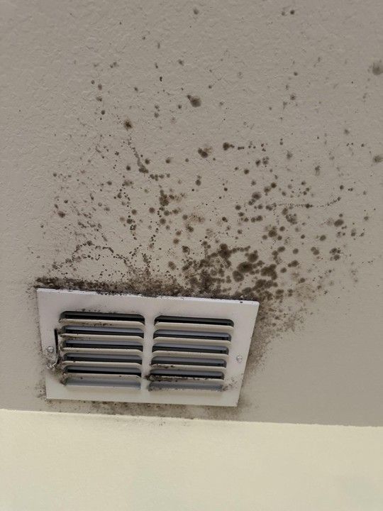 Mold growth on a white ceiling around an air vent. Mold growth on a white ceiling around an air vent.
