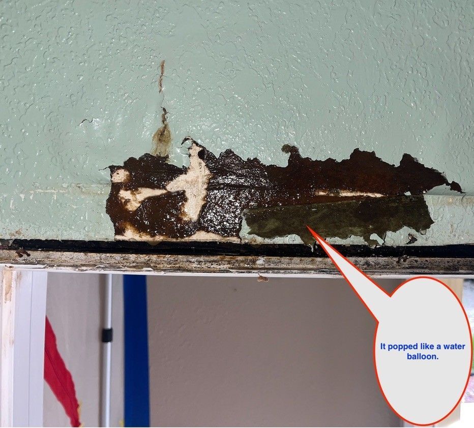 Water damaged paint, dark brown and bubbling, on a light green wall.