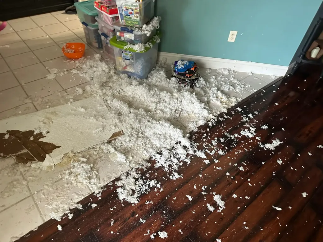 Pile Of Styrofoam On The Floor - Ocala, FL - Puddles Restoration