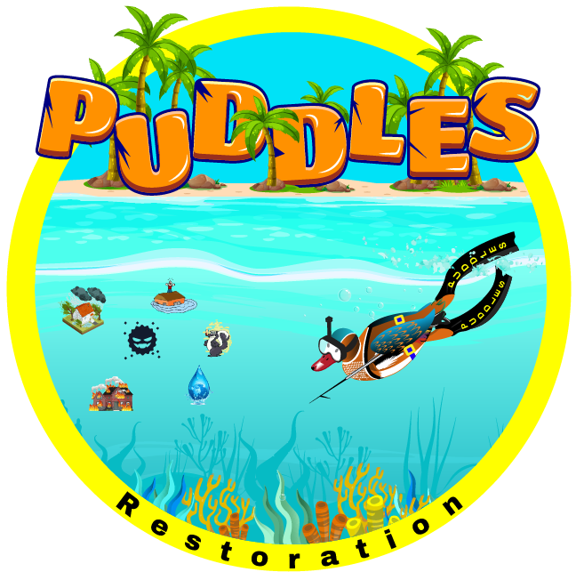 PUDDLES Restoration Logo