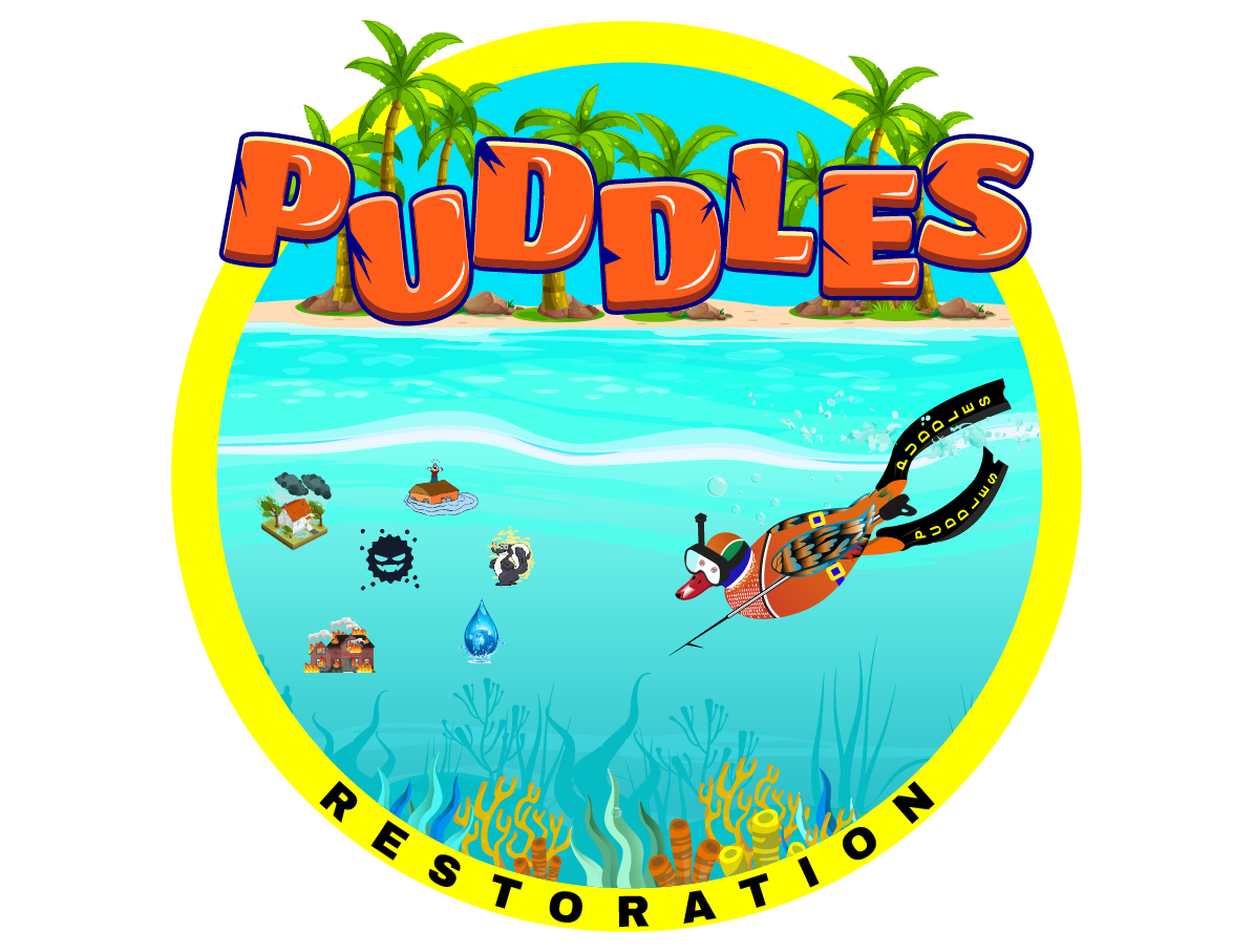 PUDDLES Restoration Logo