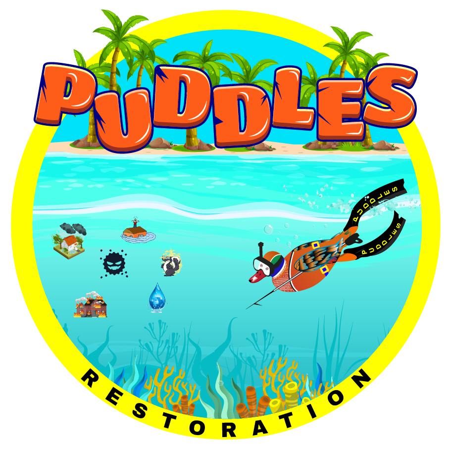 PUDDLES Restoration Logo