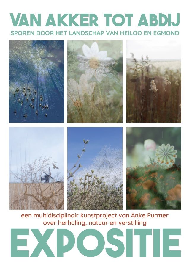 IN DE SCHADUW VAN DE VICTORIE IN DE SCHADUW VAN DE VICTORIE