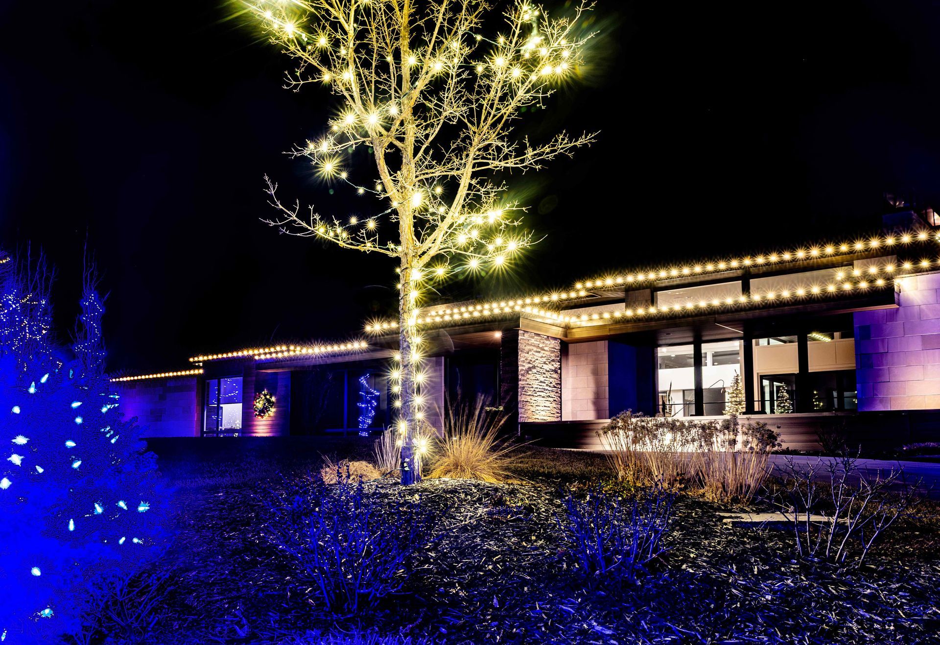 Night view of a house decorated with yellow and blue Christmas lights. A tree is lit up with yellow lights.