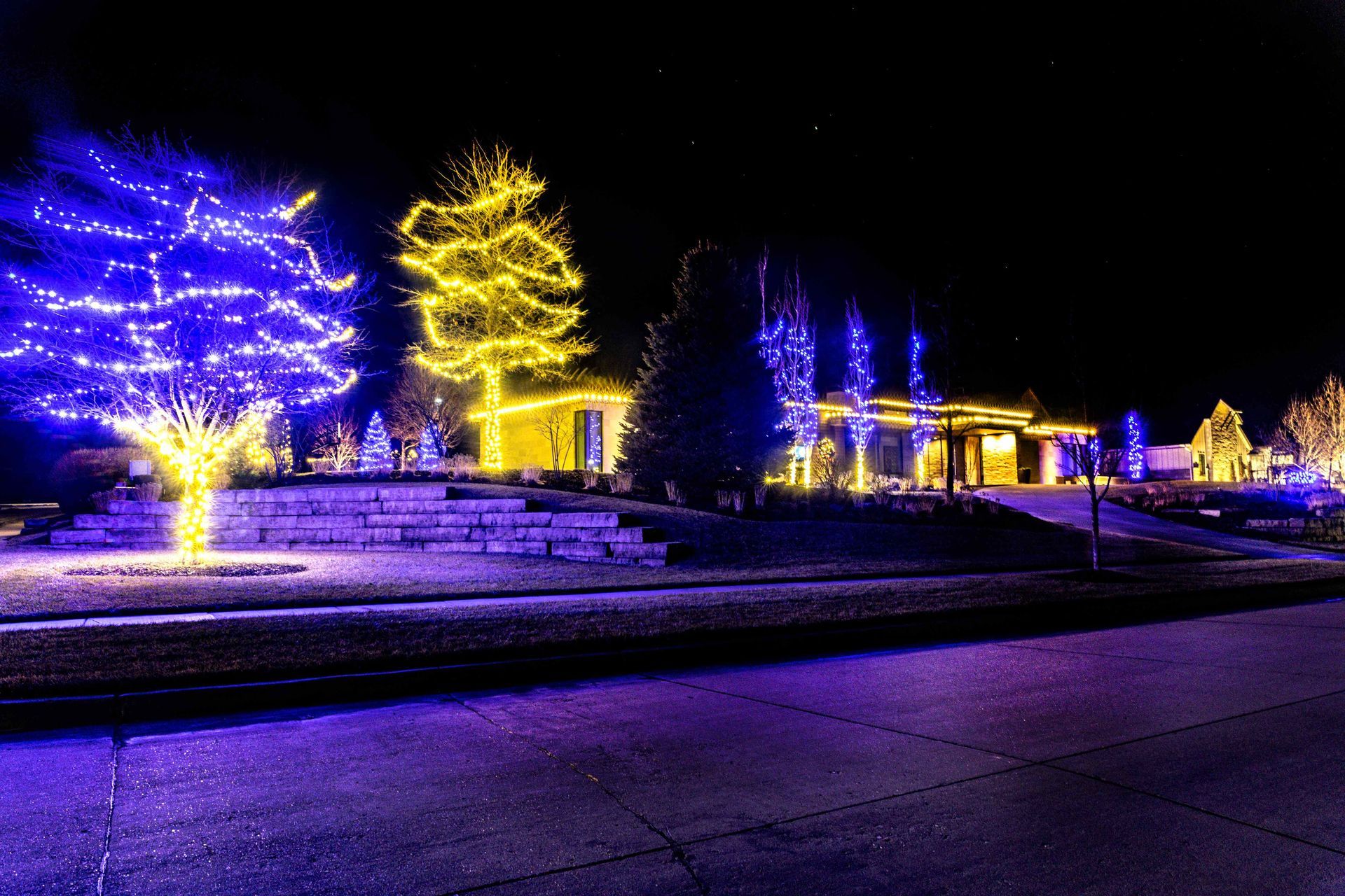 House and trees illuminated with blue and yellow lights at night.