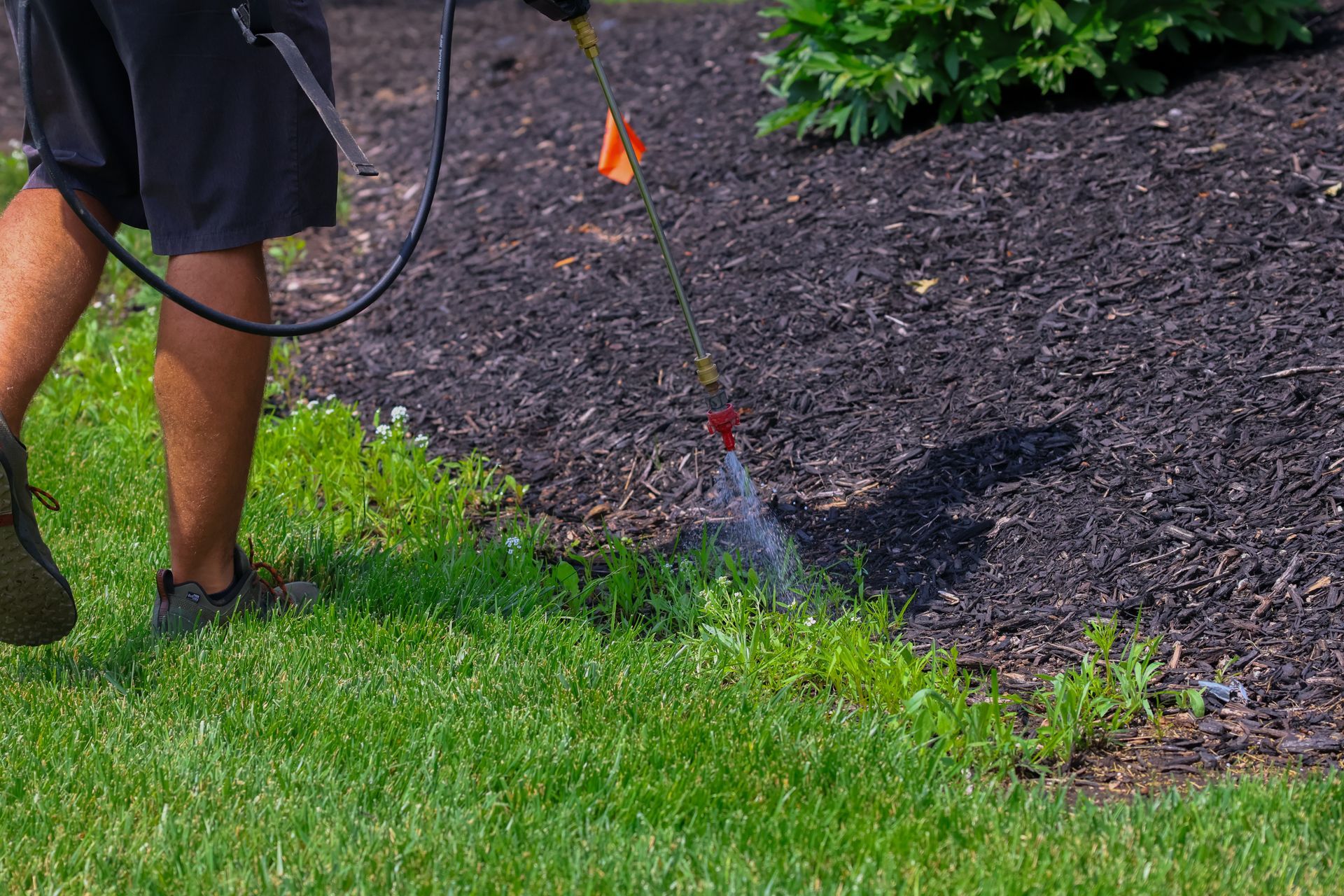 Landscape Maintenance