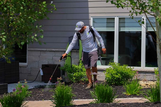 Fertilizing & Weed Control