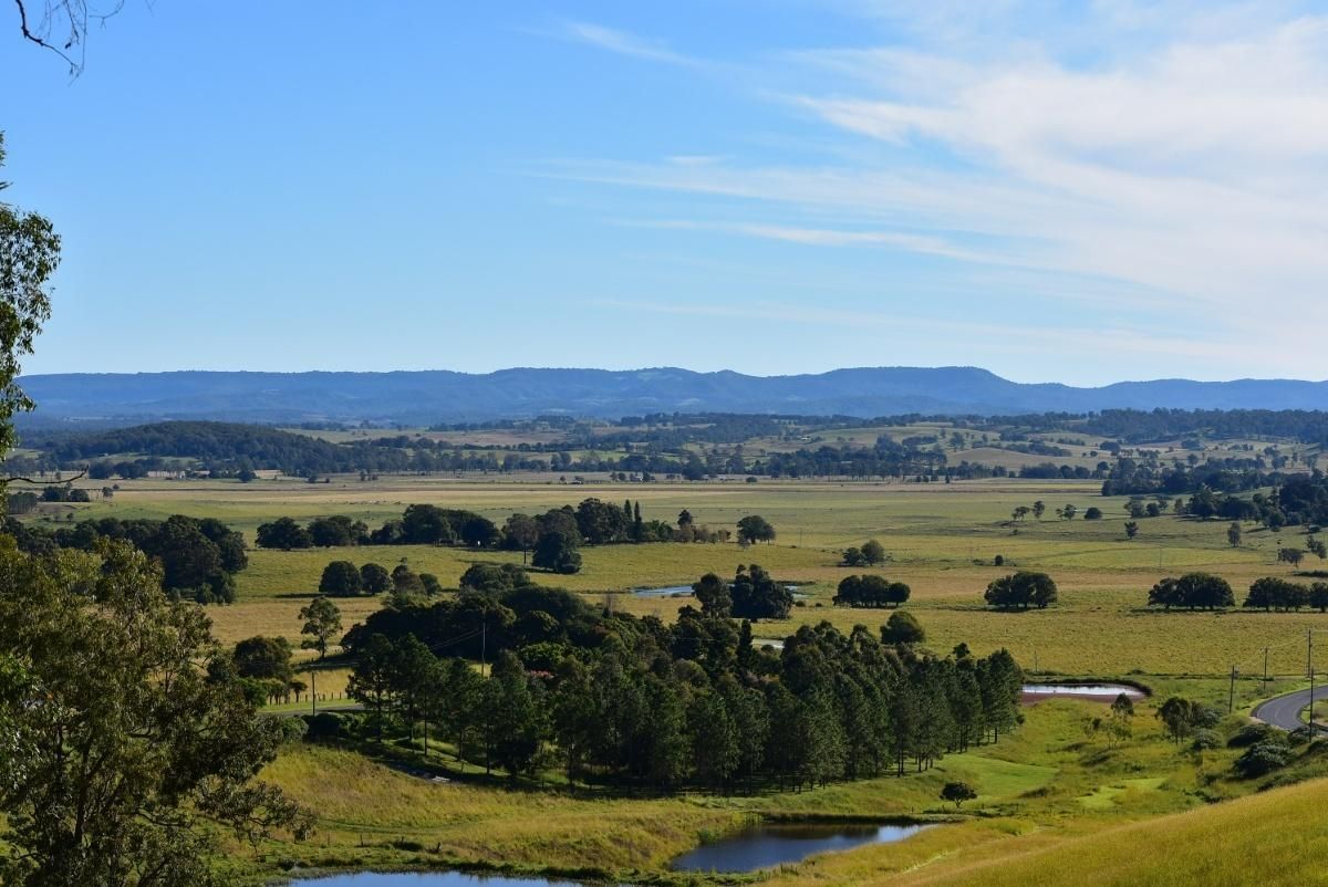 A View of a Lush Green Field With Trees and Mountains in the Background — AJM's Air Conditioning Centre in Casino, NSW