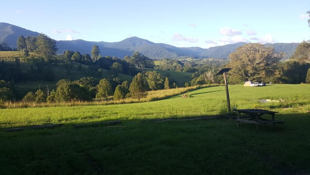 A Picnic Table is in the Middle of a Grassy Field — AJM's Air Conditioning Centre in Nimbin, NSW