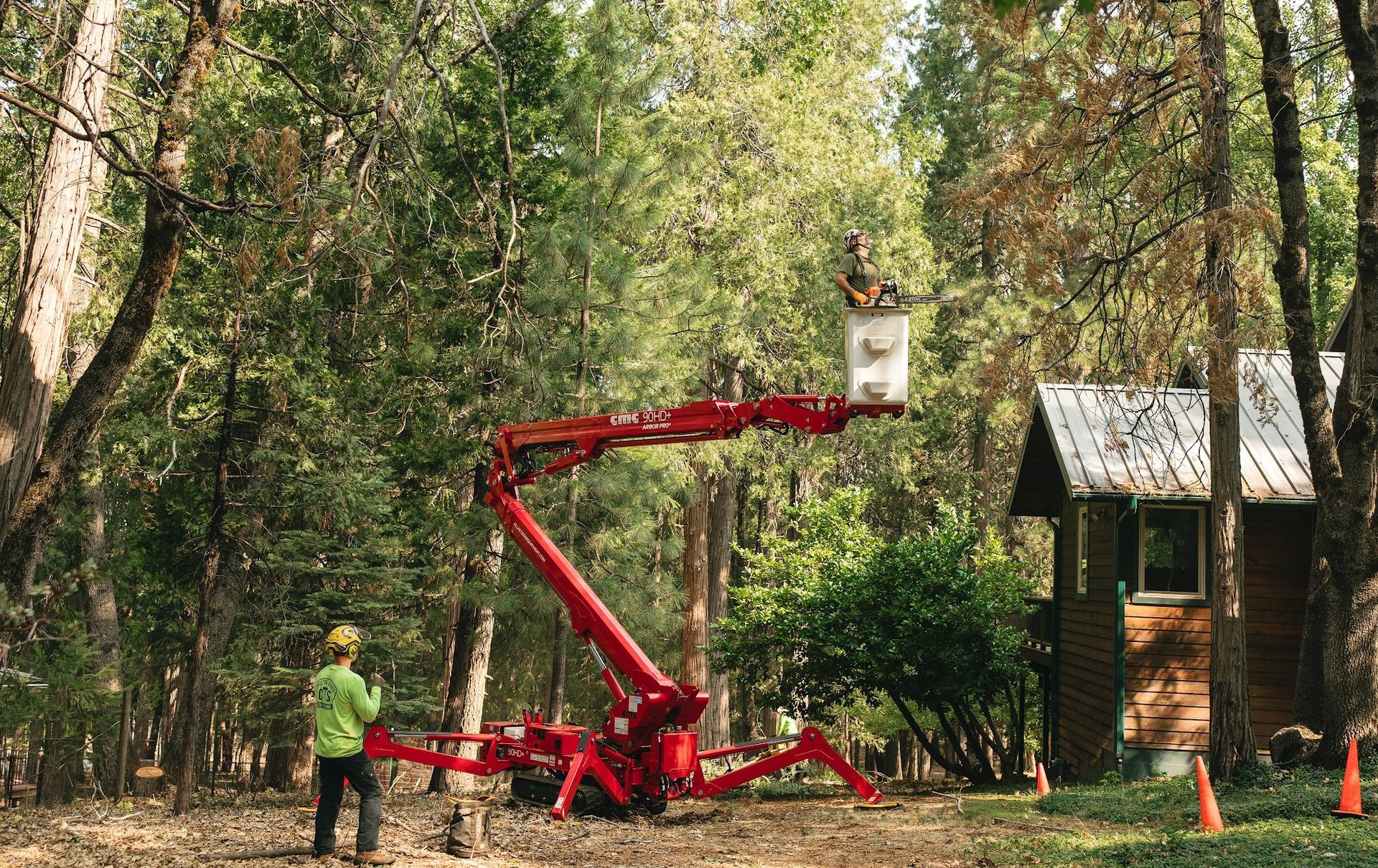 Worker in a red bucket lift trimming trees beside a small wooden cabin in a wooded area.