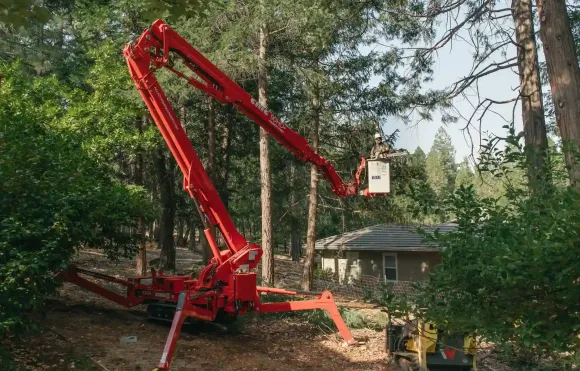 Tree limb being lifted by a crane over a suburban house, with debris piled on the driveway.