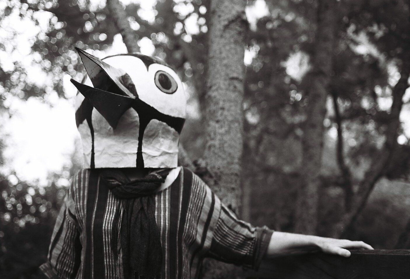 Sophie Willoughby - Birdman