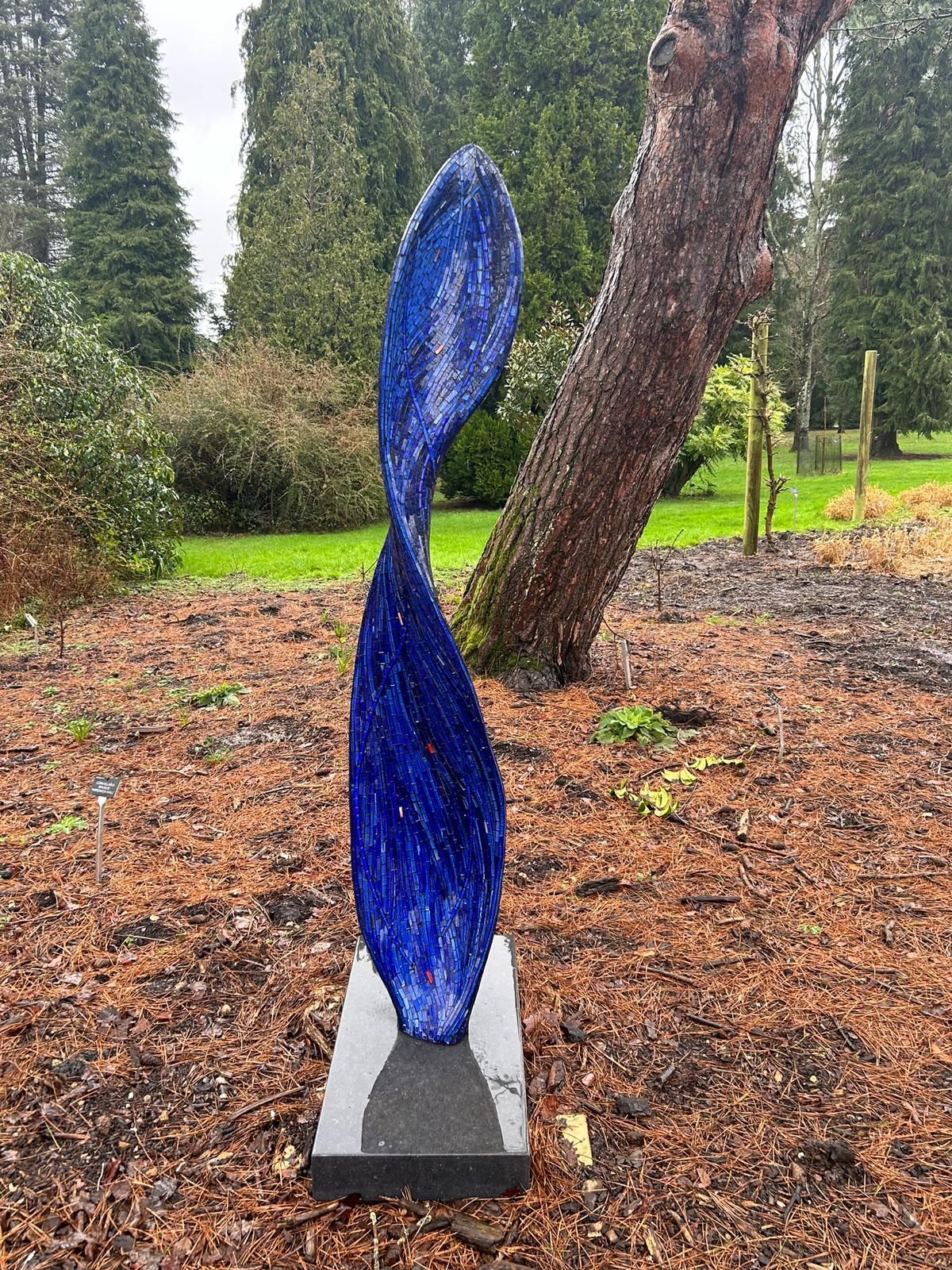 Rebecca Newham, Figure 8