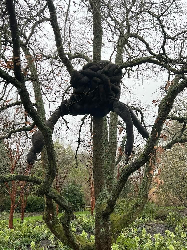 Nicola Turner, I robbed the woods, 2024