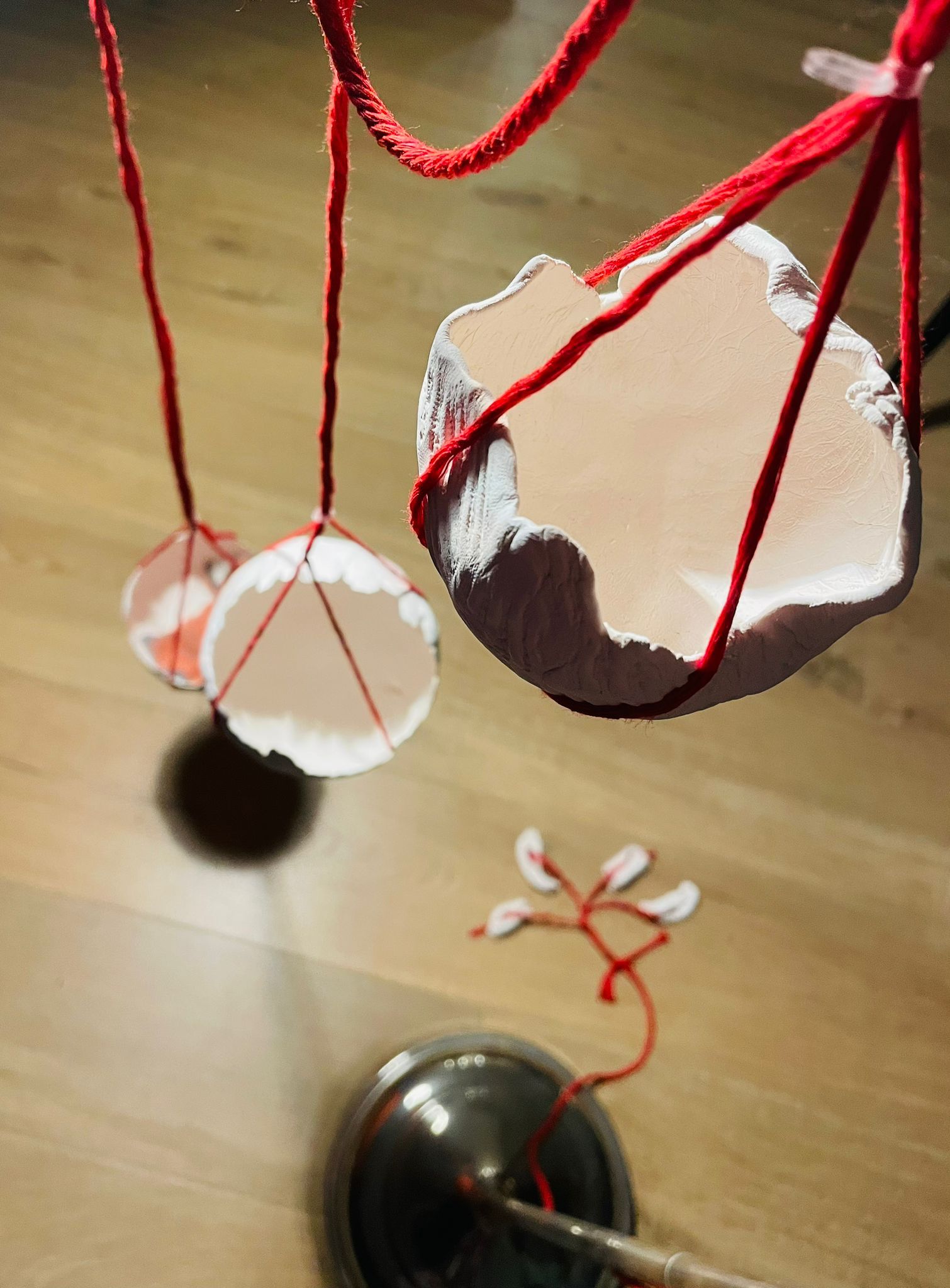 Tina Scahill, CAS Summer Exhibition 2024