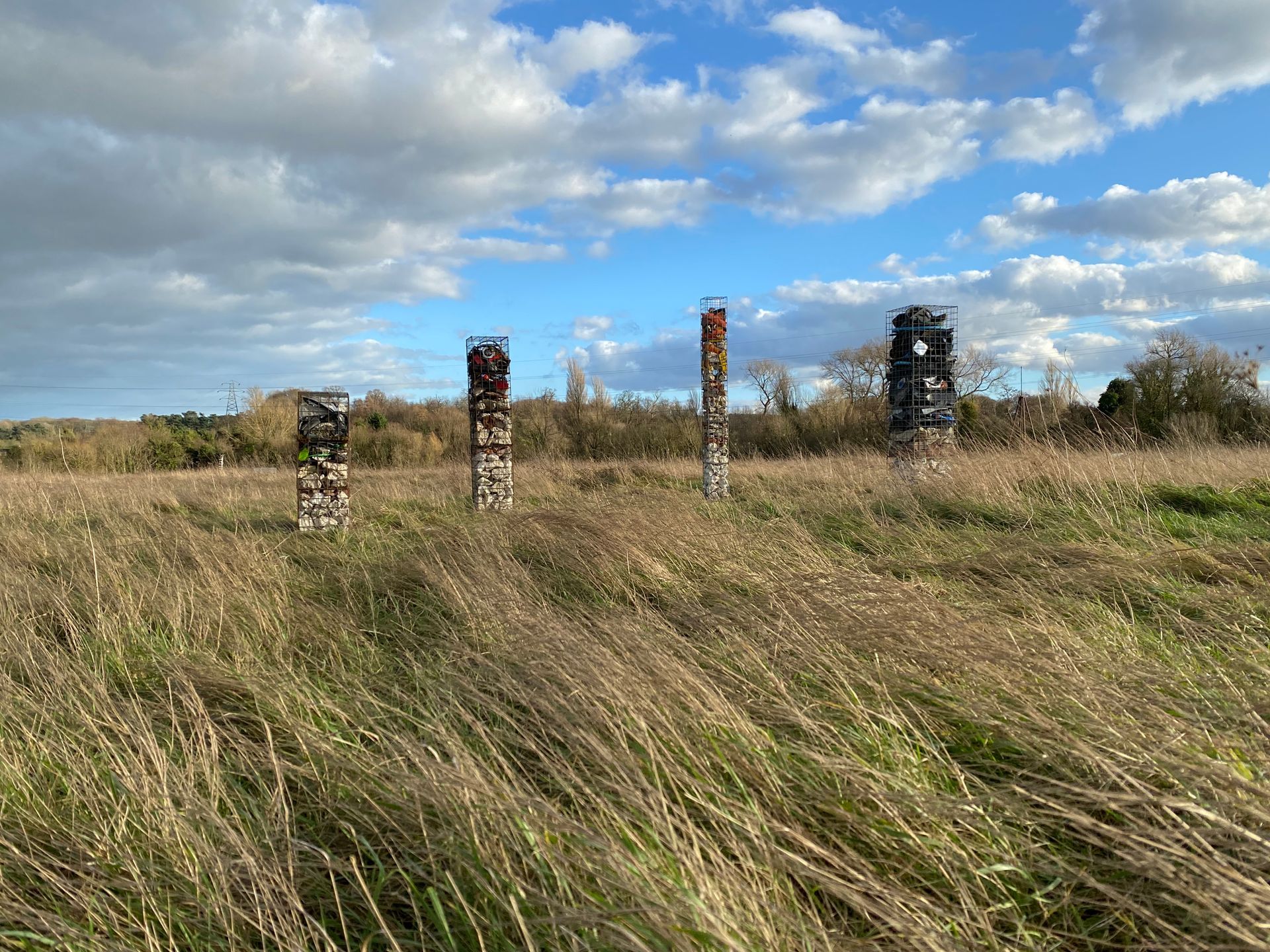 Liz Clifford - Becoming Geology