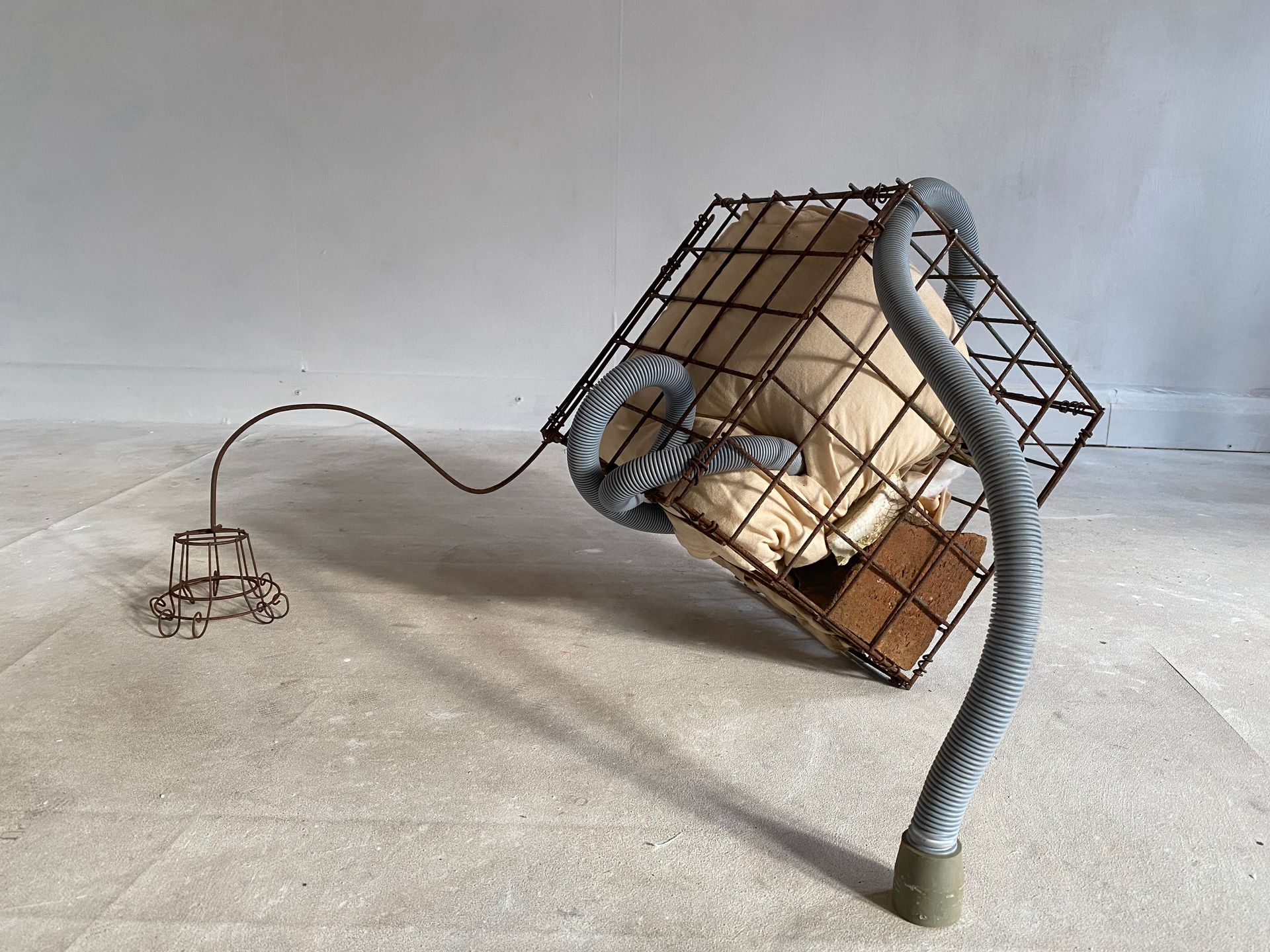 Liz Clifford - Symbio Being