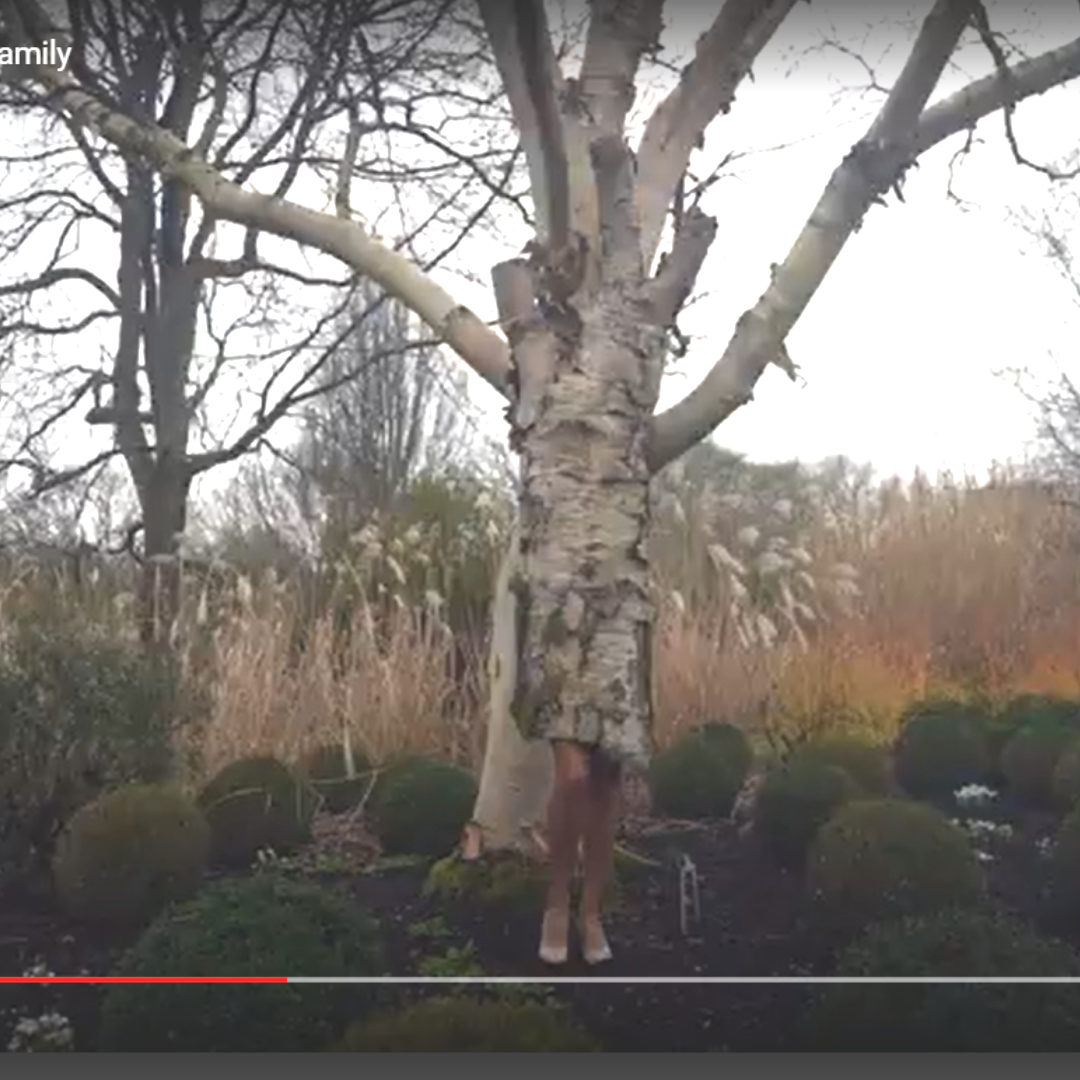 Olana Light, The Birch Tree Family video, 2024