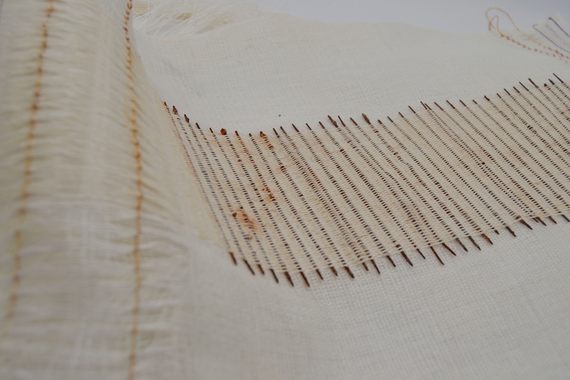 Sharon Kearley, CAS Summer Exhibition 2024