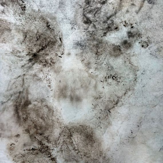 Jindra Jehu Jindra Jehu artwork