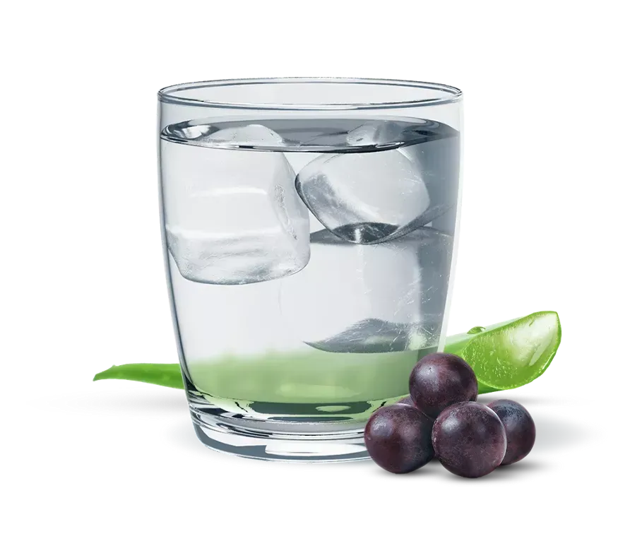 Botella de concentrado de aloe vera de Herbalife Nutrition. Botella blanca con etiquetas verdes y blancas.