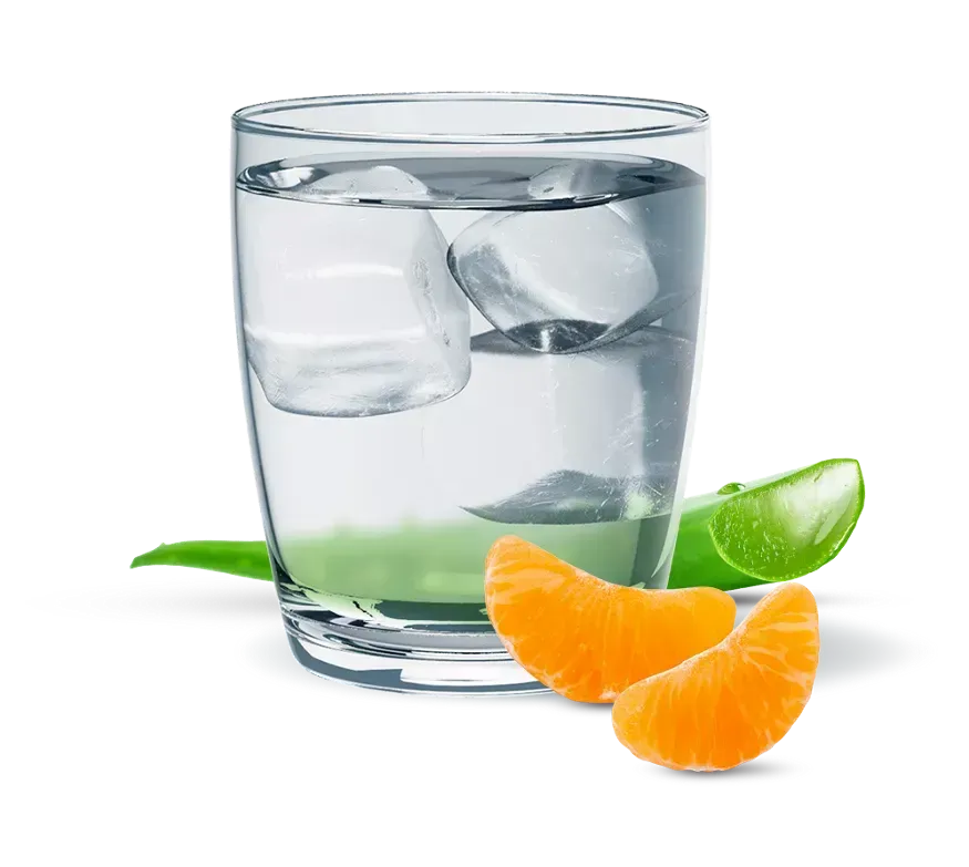 Botella de concentrado de aloe vera de Herbalife Nutrition. Botella verde y blanca con diseño de aloe vera.