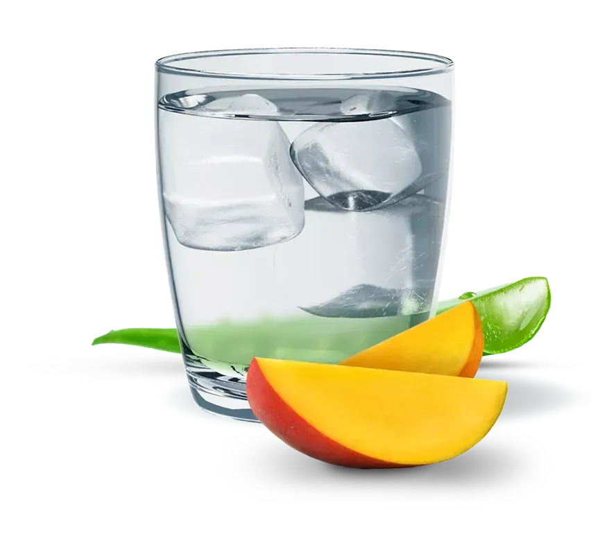 Botella de concentrado de aloe herbario Herbalife con etiqueta verde e ilustración de aloe.