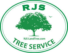 RJS Tree Service