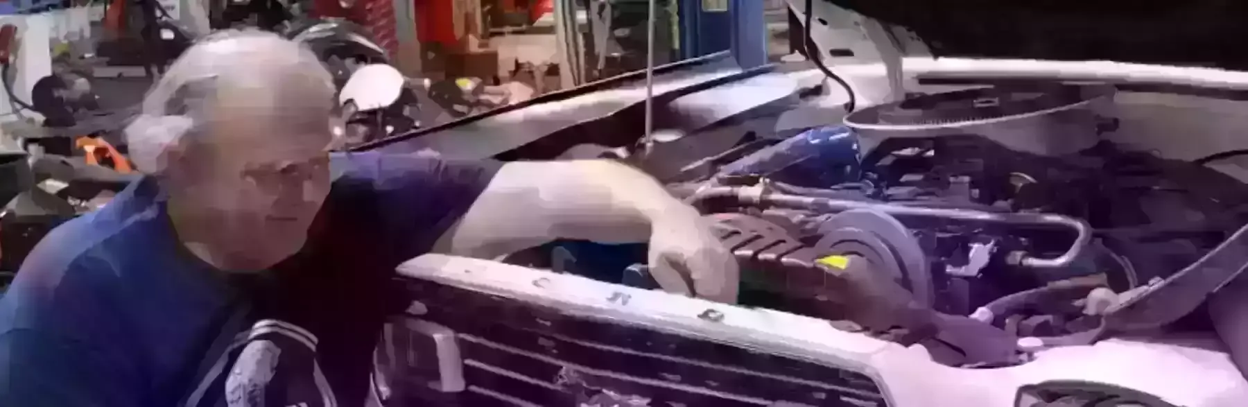 Vehicle in repair with hood open | PRO-CAT Auto Care & Repair