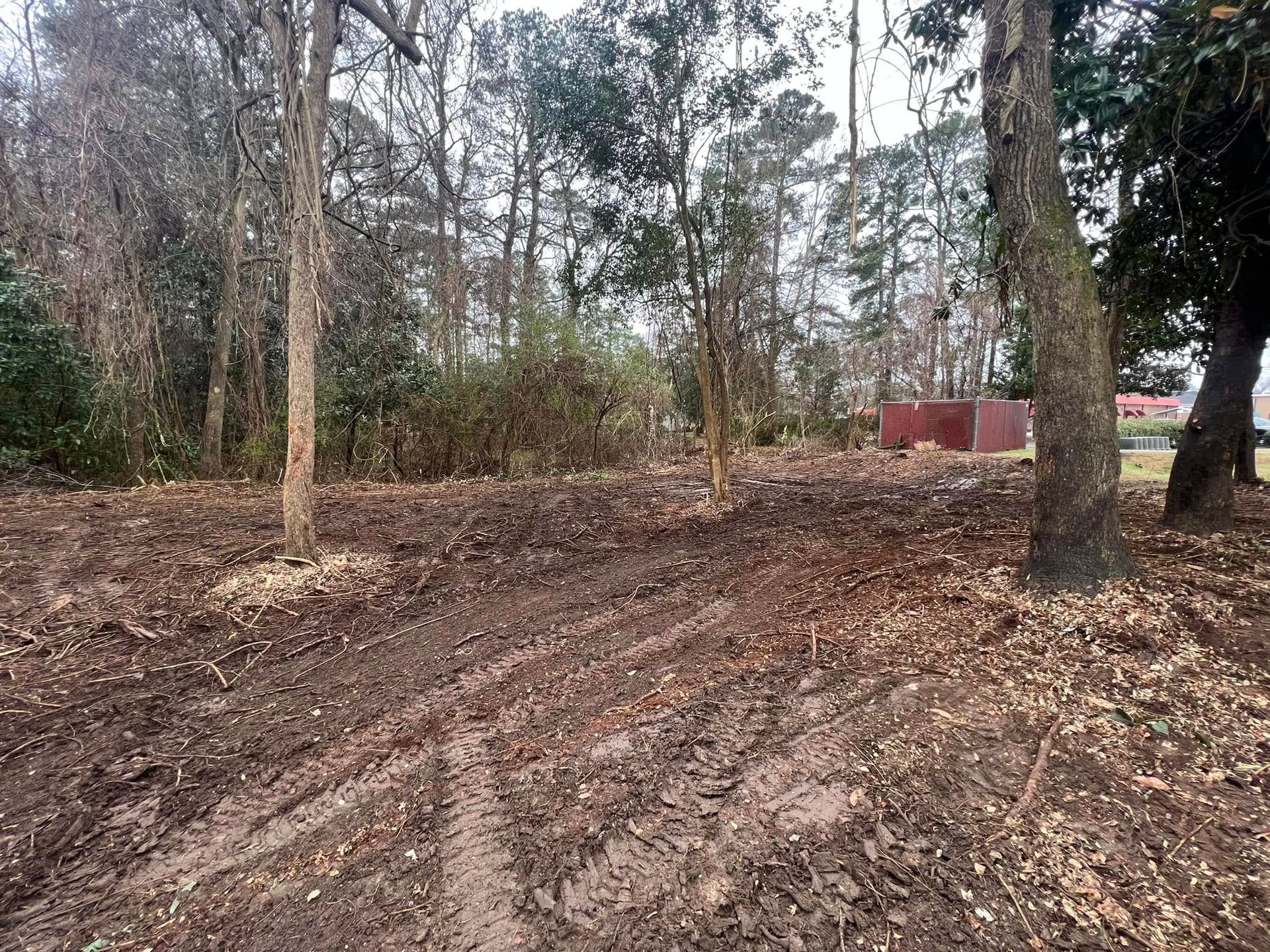 A dirt road in the middle of a forest with trees in the background.
