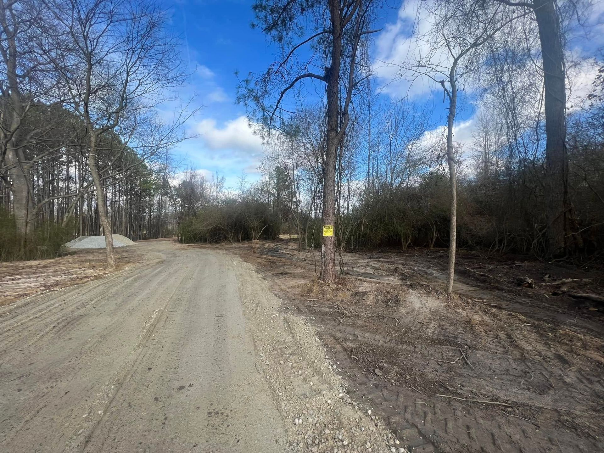 A dirt road going through a forest with trees on both sides.