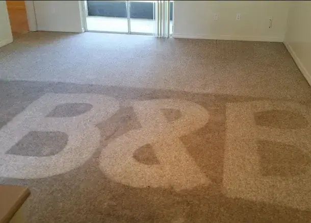 Cleaning a carpet in a room.