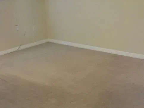 After - Carpet cleaning.