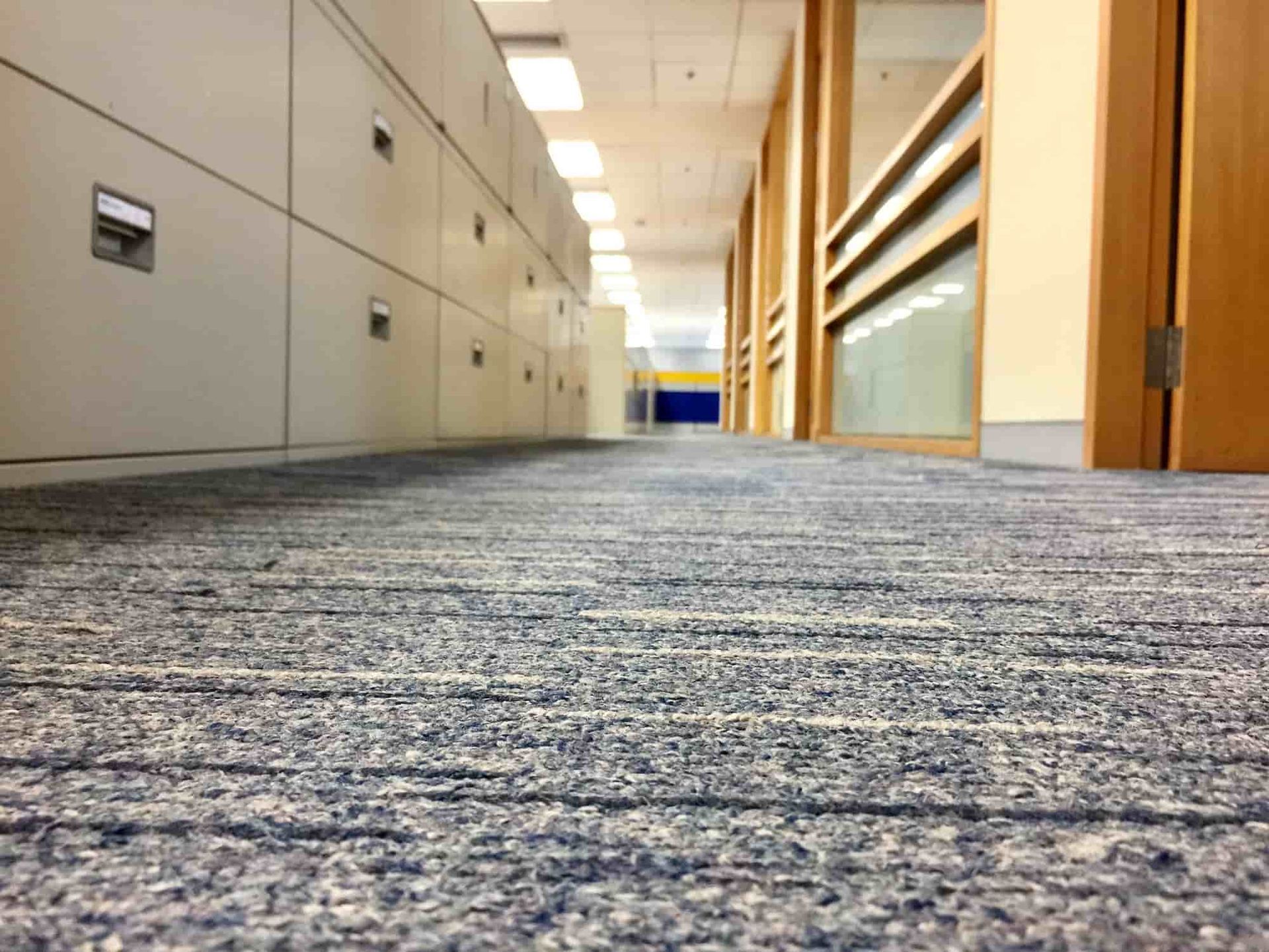 Office hallway with gray carpet, lockers on the left, and windows/wood trim on the right.