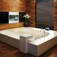 Modern spa bathroom with a large square soaking tub, wood-paneled walls, and a wall-mounted TV
