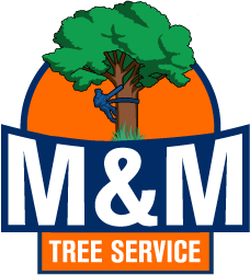 M&M Tree Services In Rode Island