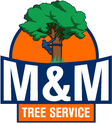 M & h 2025 tree services ltd