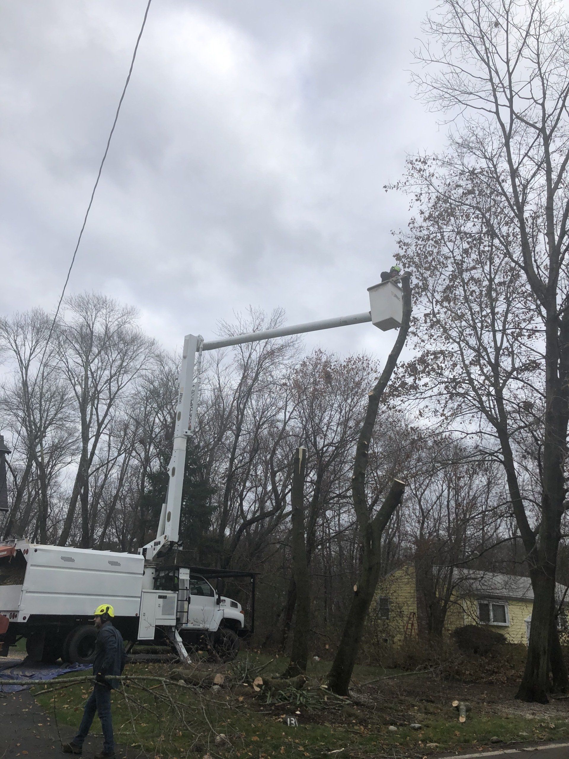 M&M Tree service worker doing a tree removal job in a bucket