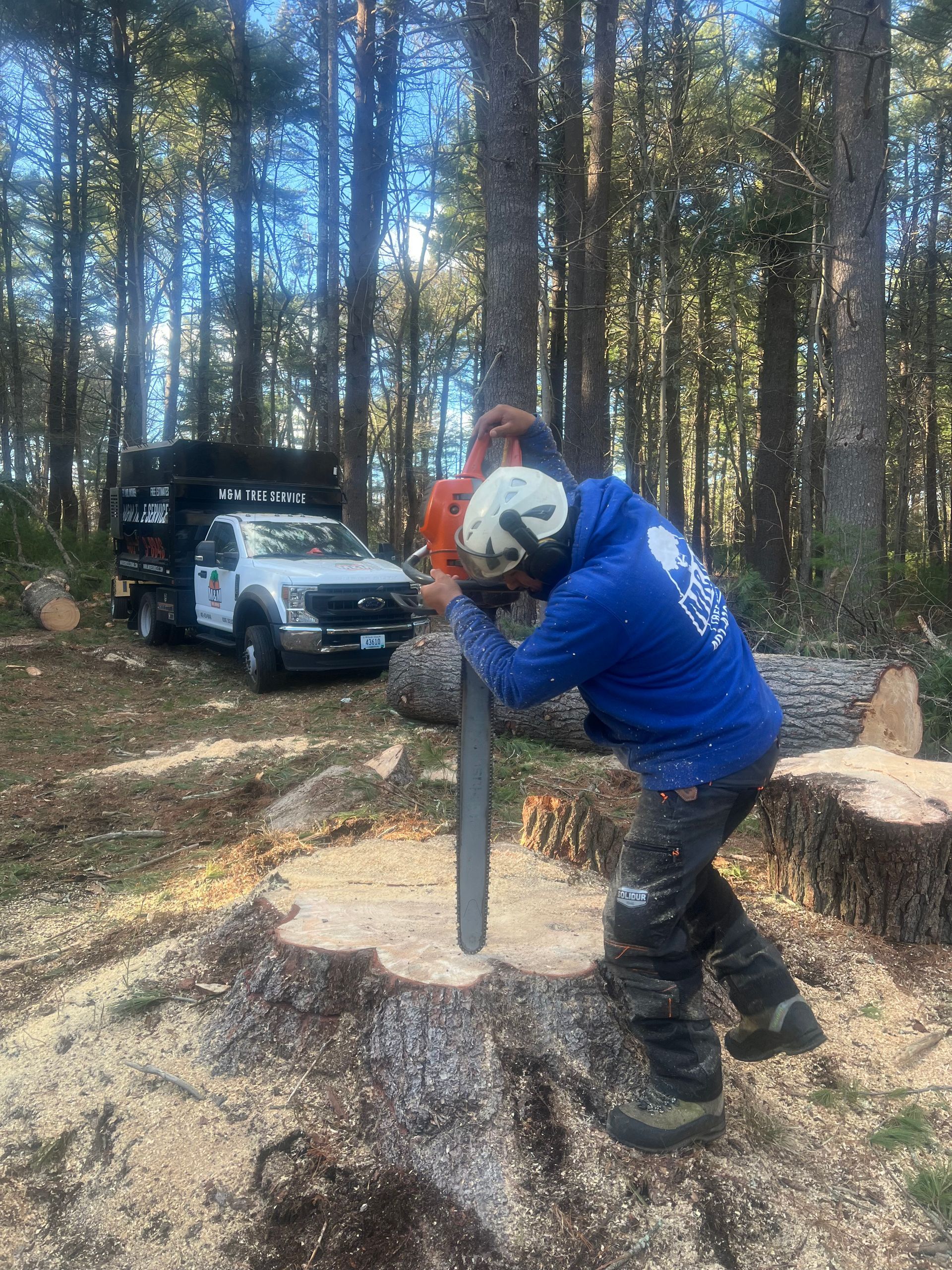 Stump grind removal machine removing a stup